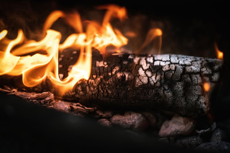 BBQ Cook-off